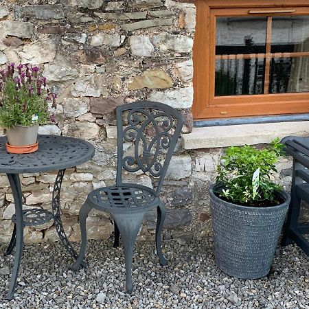 The Reindeer Retreat Buttercup Twin Hotel Kidwelly Bagian luar foto