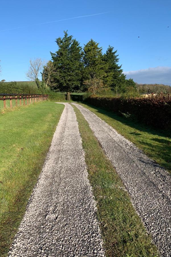 The Reindeer Retreat Buttercup Twin Hotel Kidwelly Bagian luar foto