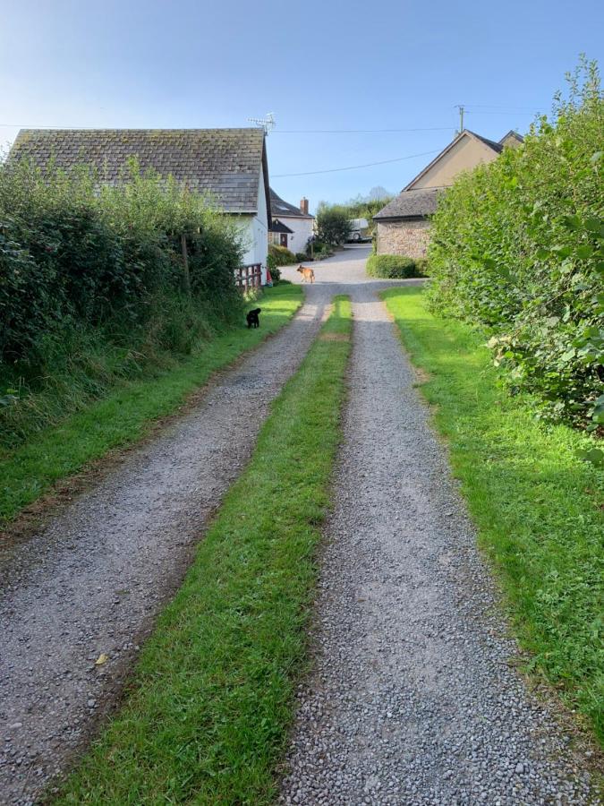 The Reindeer Retreat Buttercup Twin Hotel Kidwelly Bagian luar foto