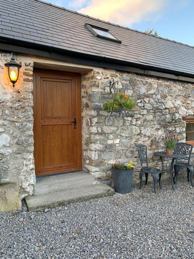 The Reindeer Retreat Buttercup Twin Hotel Kidwelly Bagian luar foto